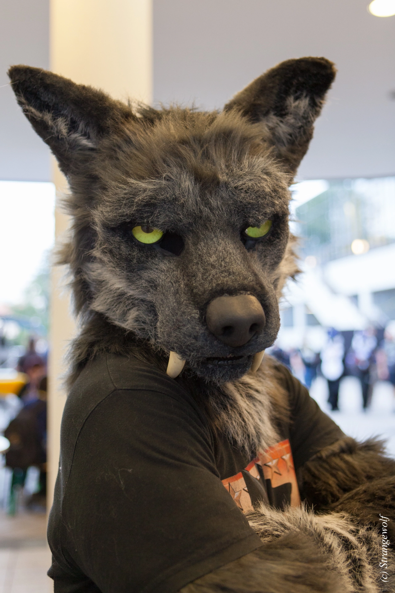 full image IMG_5088-lr19t.jpg