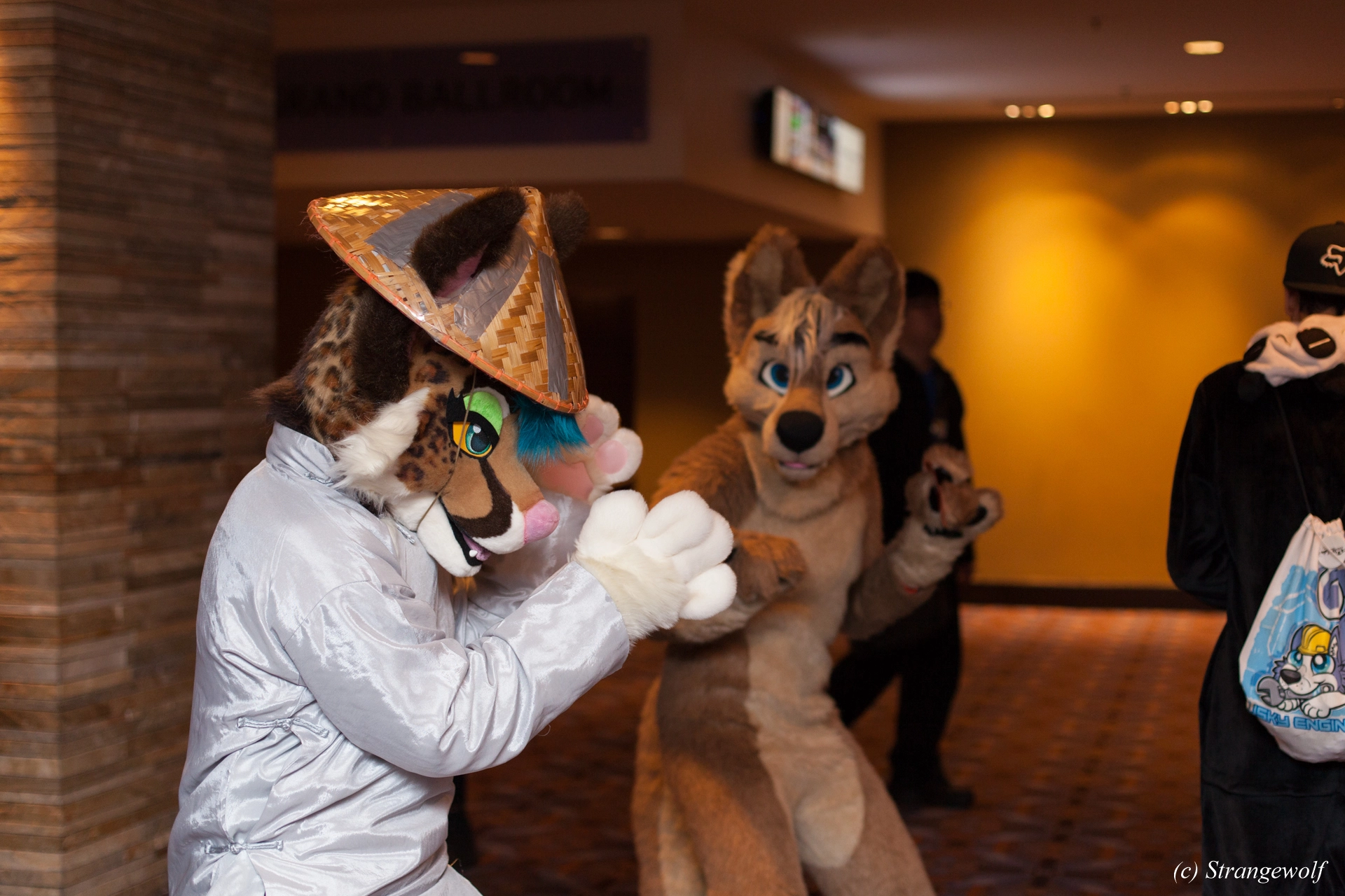 full image IMG_7293-lr19t.jpg
