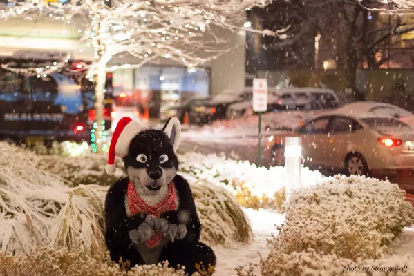 IMG_0827-lr16t.jpg of MFF/MFF2016/