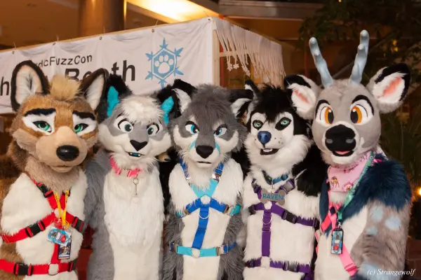 IMG_9325-lr19t.jpg of NFC/NFC2019/