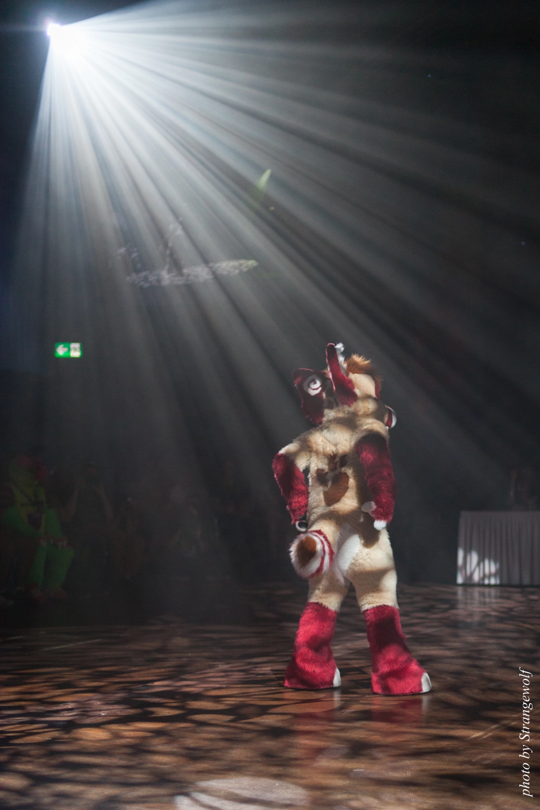 full image IMG_9067-lr16t.jpg