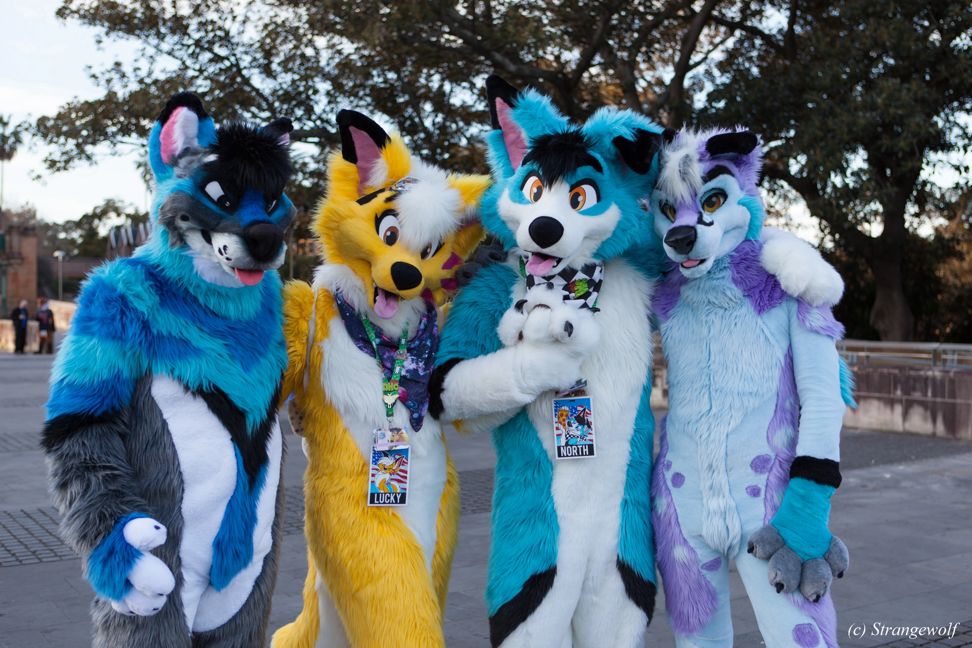 full image IMG_4653-lr19t.jpg