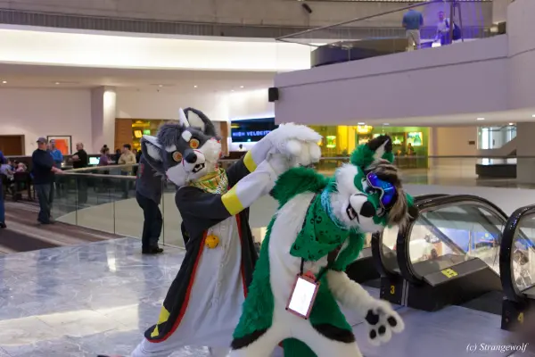 IMG_1265-lr19t.jpg of FWA/FWA2018/