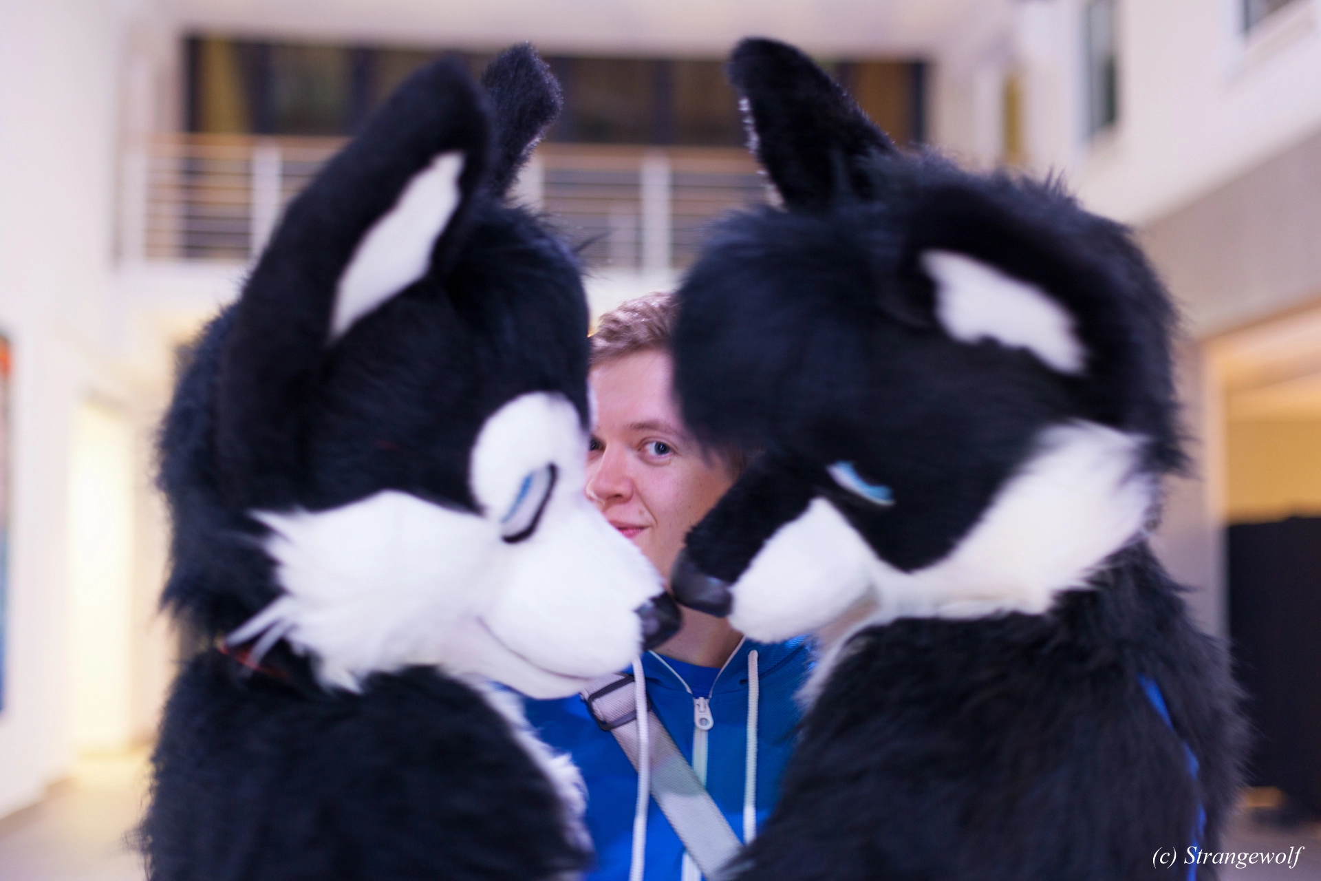 full image IMG_5416-lr19t.jpg