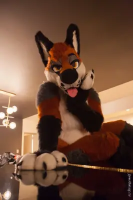 IMG_2239-lr19t.jpg of FWA/FWA2018/