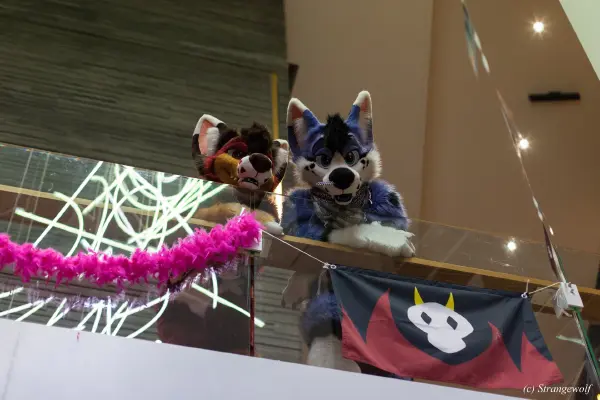 IMG_9187-lr19t.jpg of NFC/NFC2020/