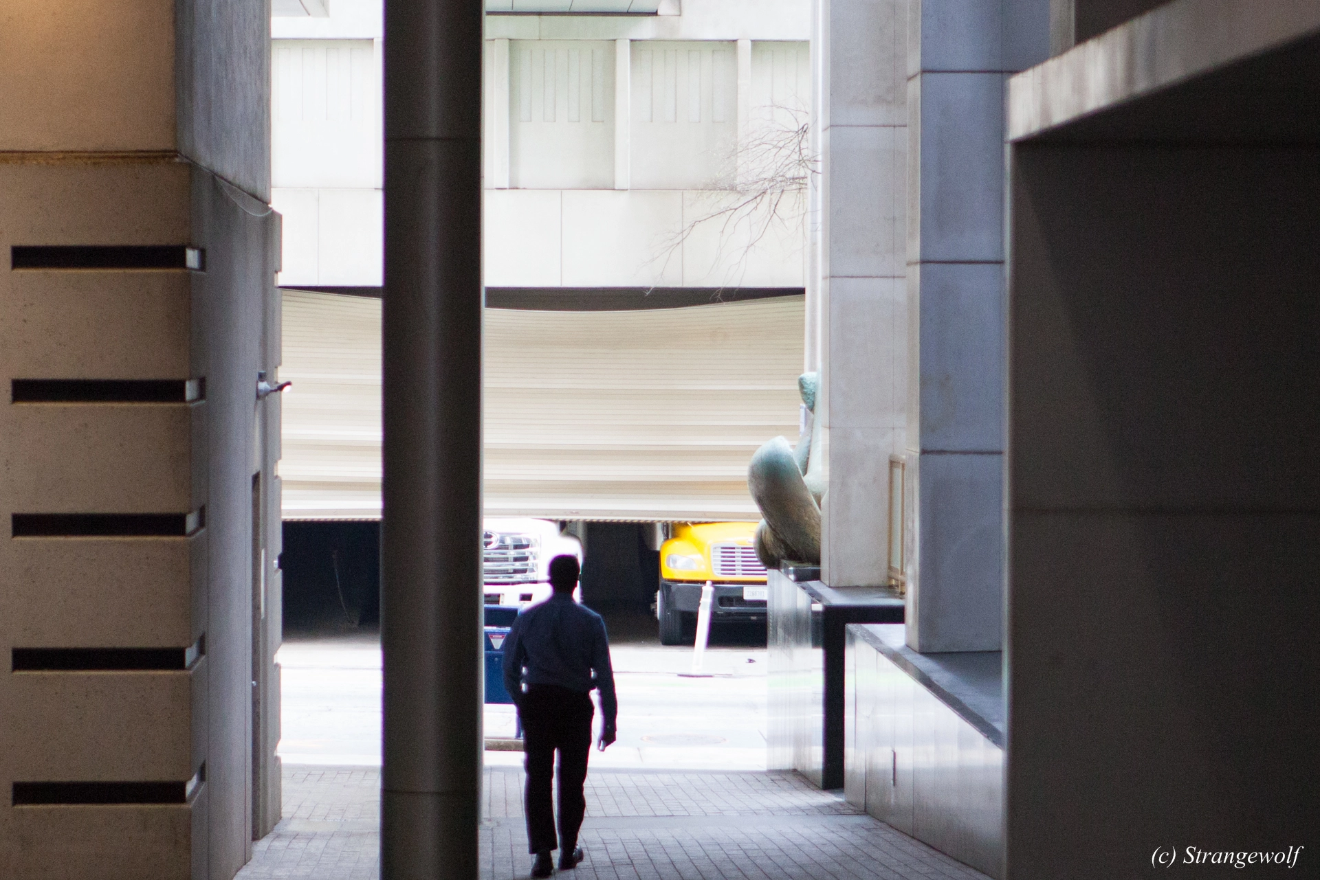 full image IMG_2152-lr19t.jpg