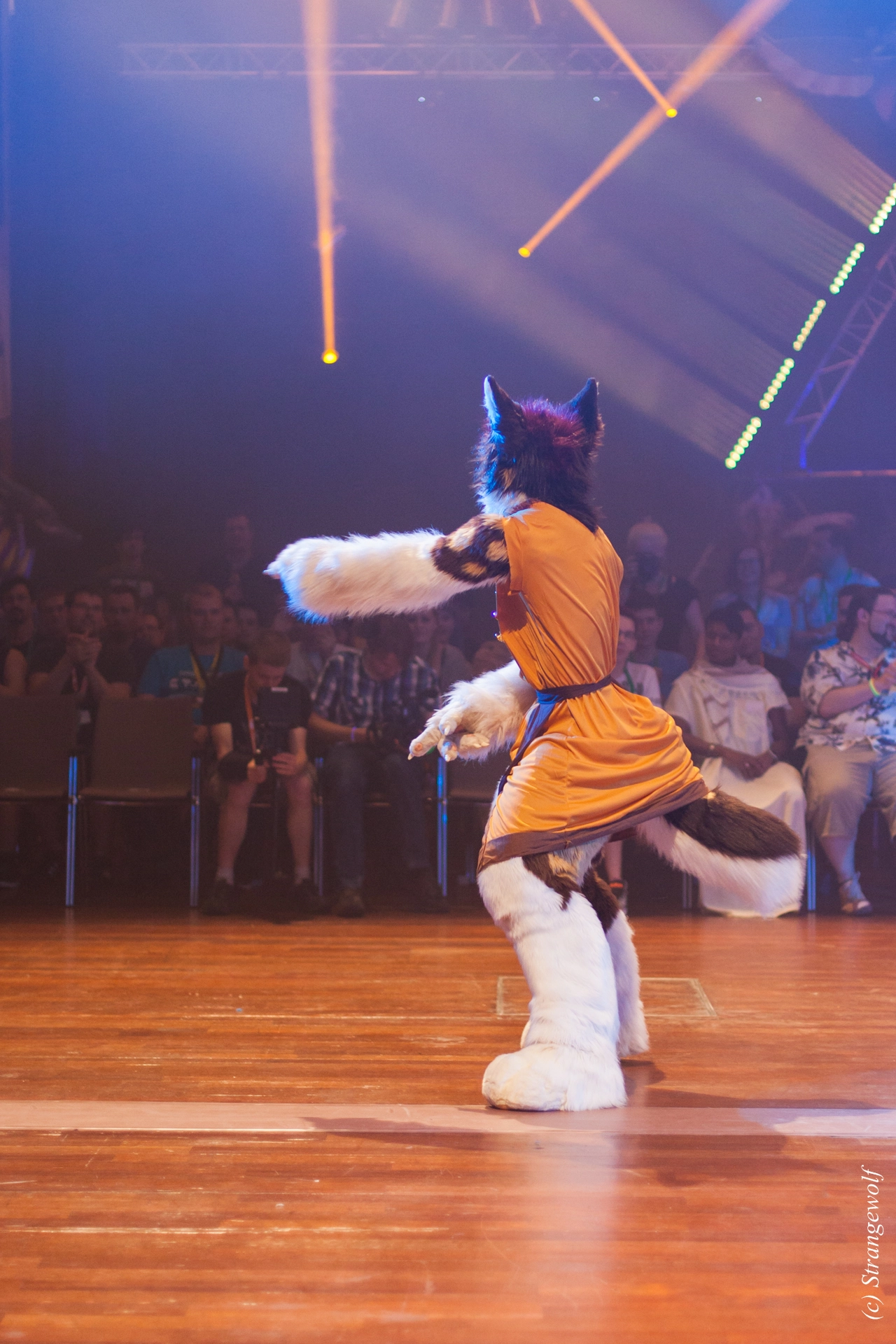 full image IMG_6457-lr19t.jpg