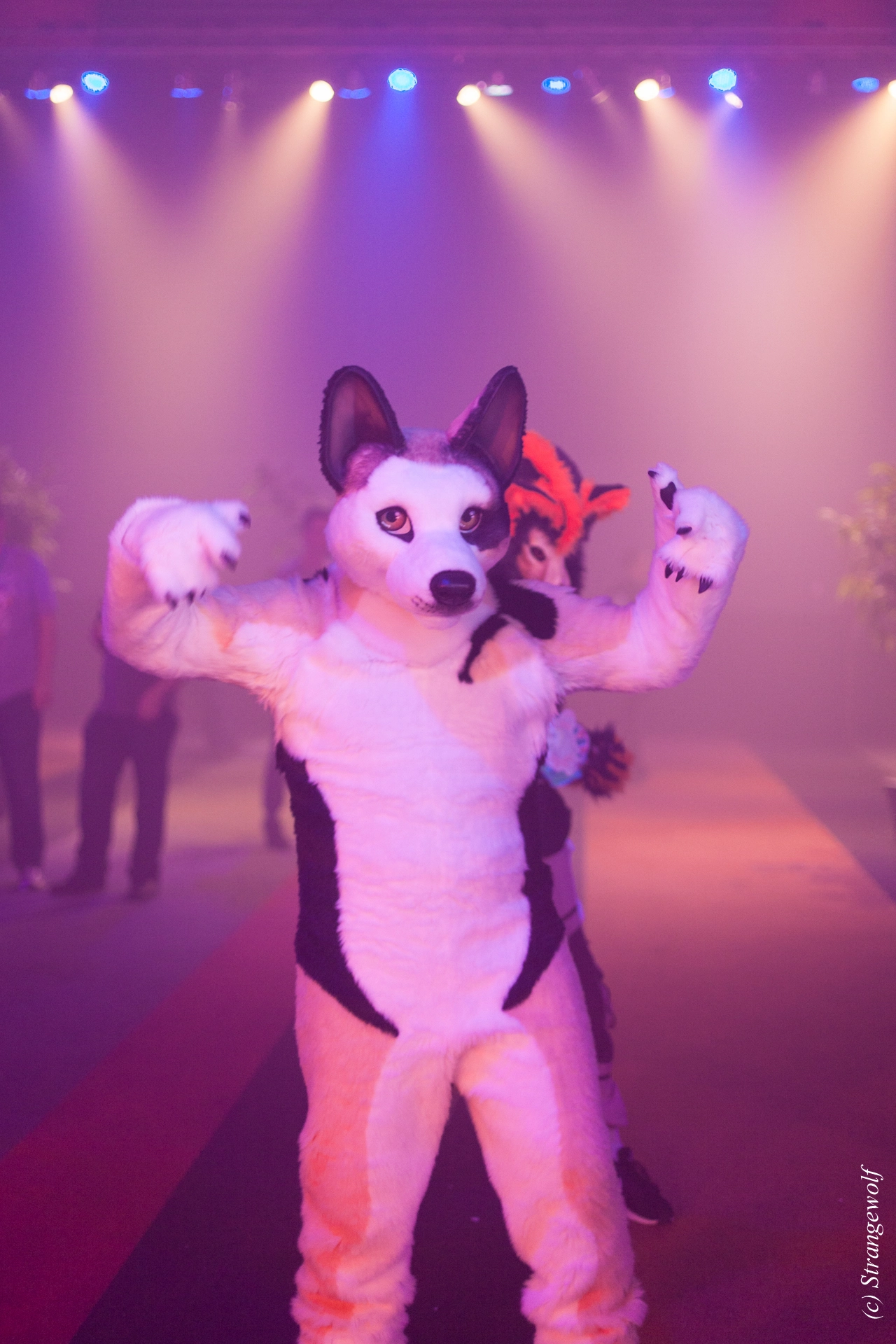 full image IMG_6398-lr19t.jpg