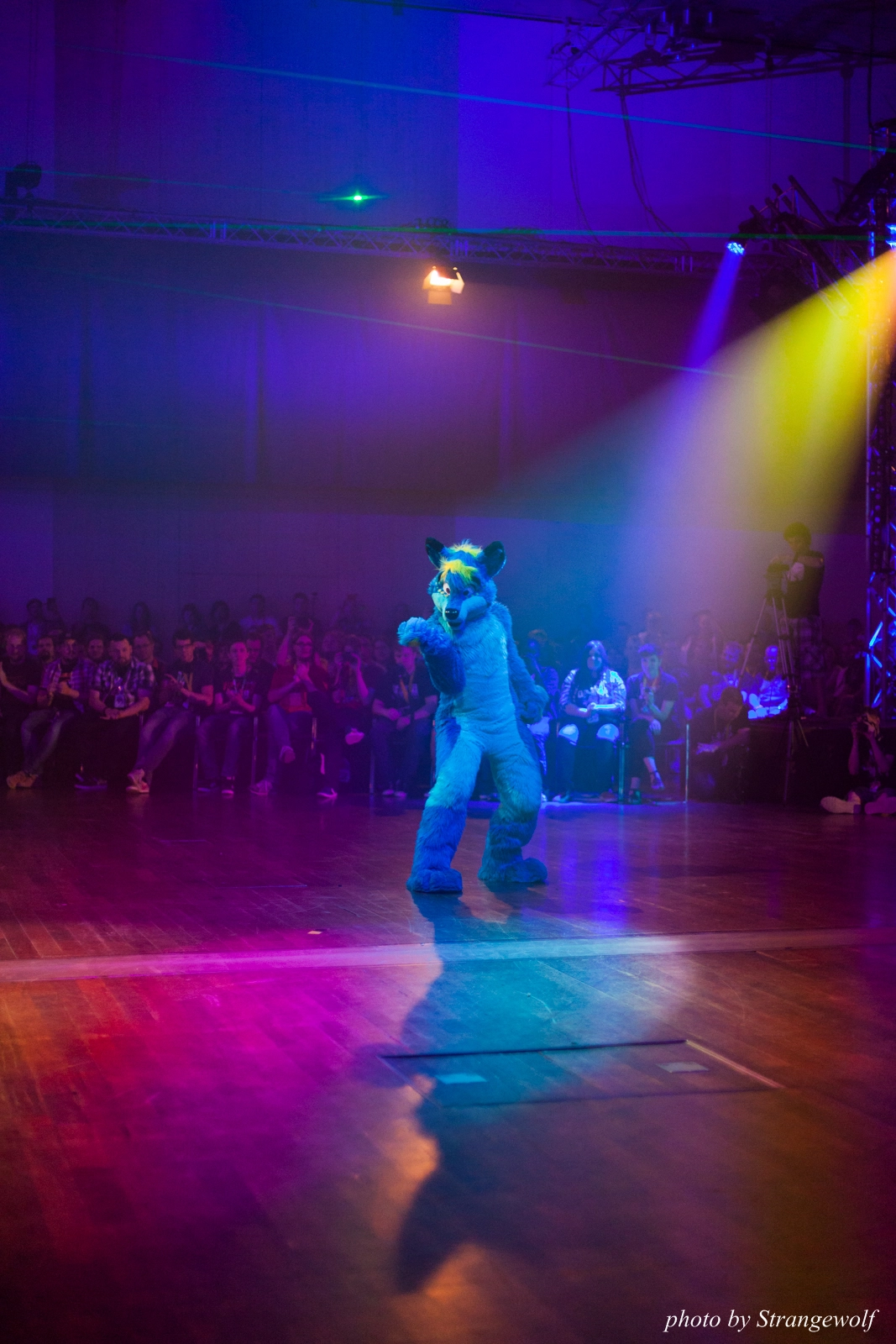 full image IMG_2799-lr16t-2.jpg