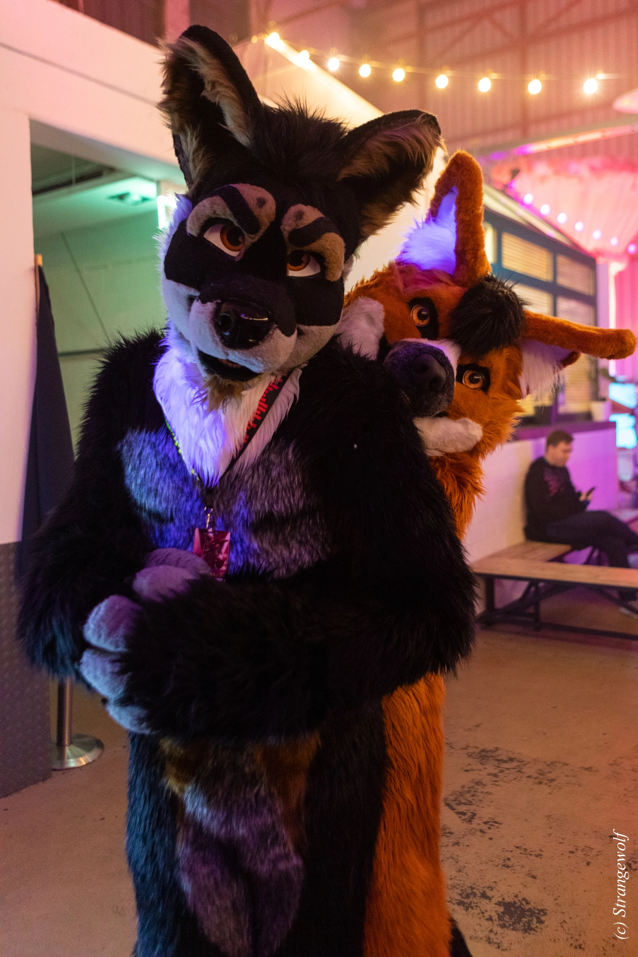 full image 1R3A3325-lr19t.jpg