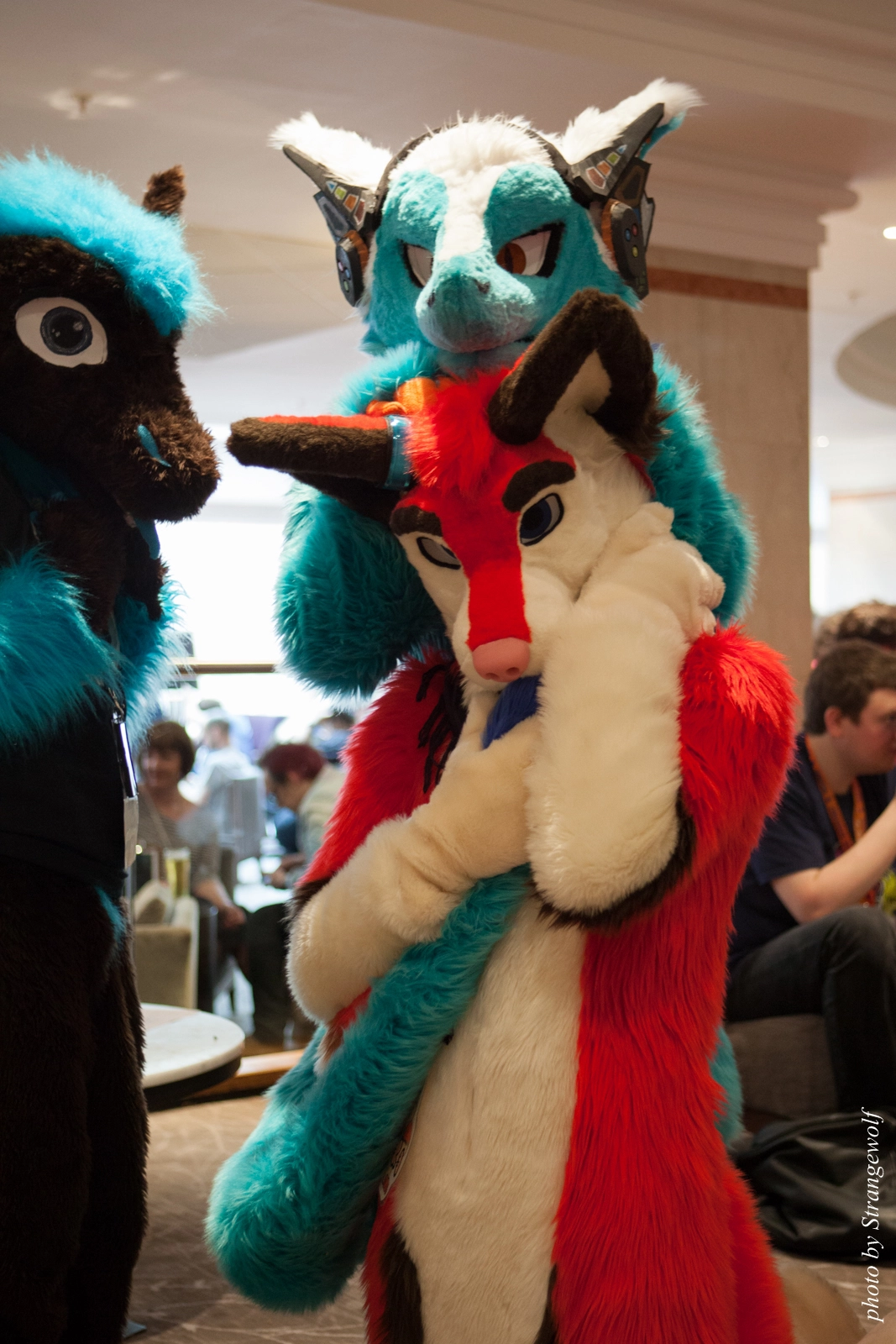 full image IMG_7407-lr16t.jpg