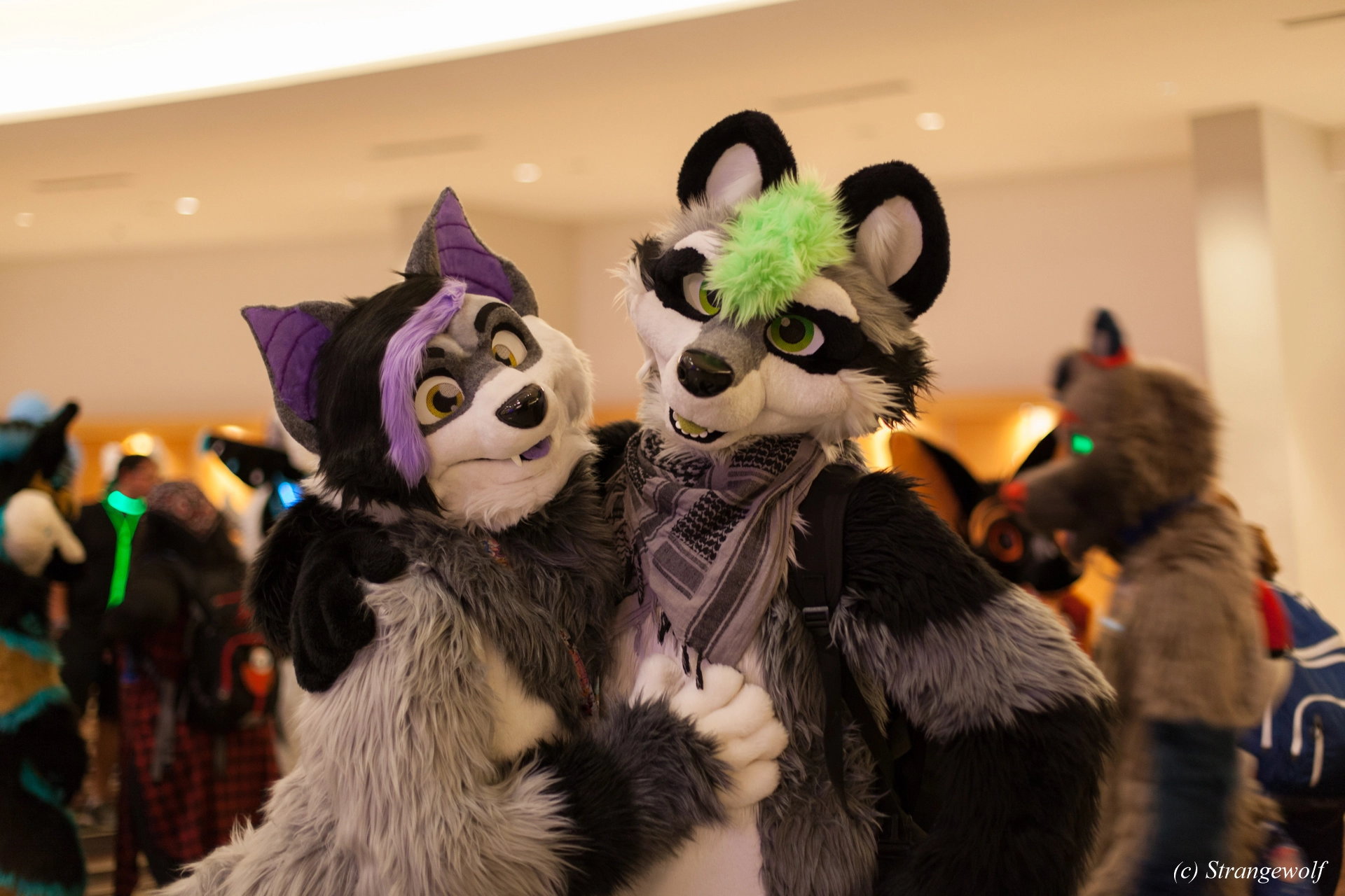 full image IMG_1791-lr19t.jpg