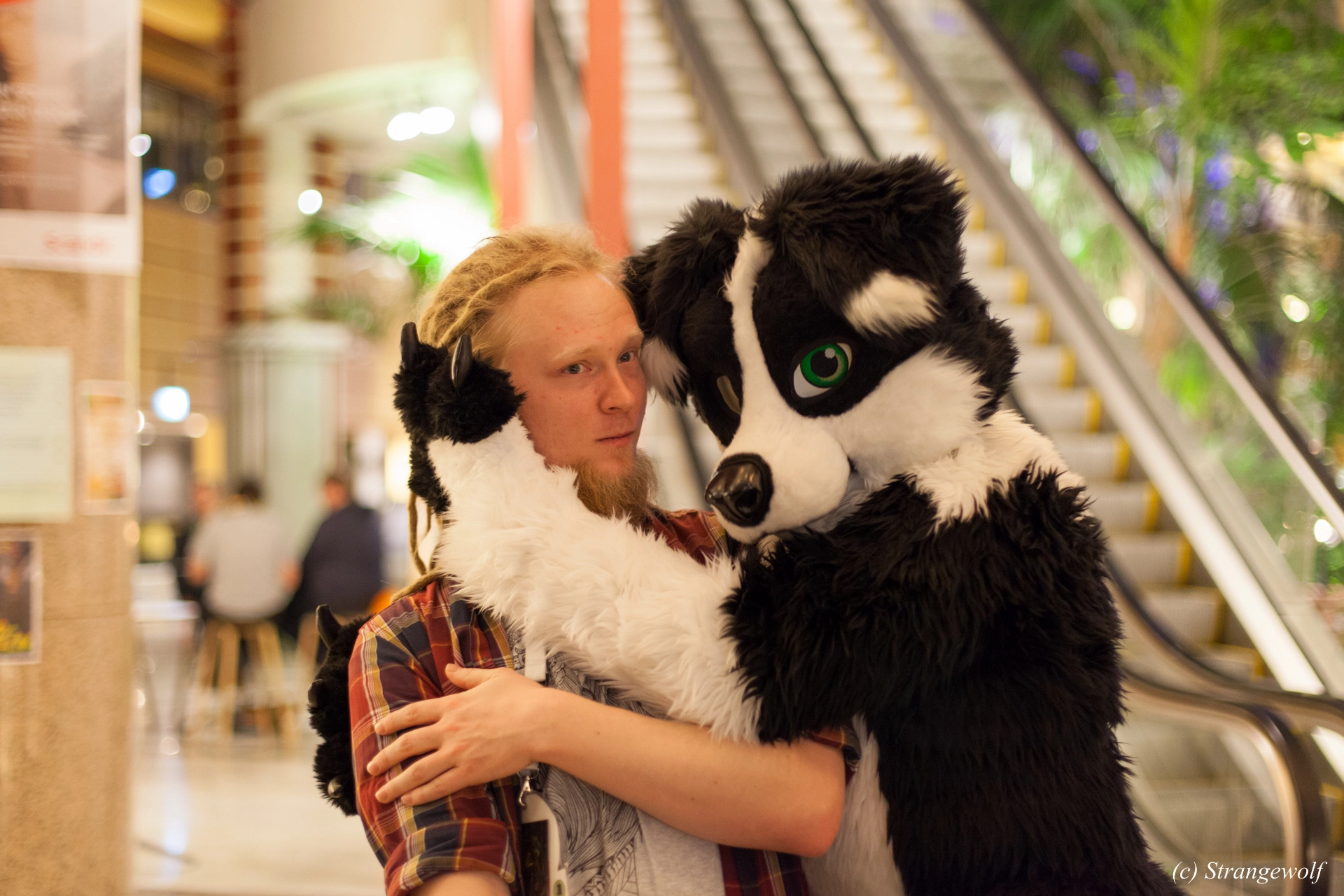 full image IMG_9454-lr19t.jpg