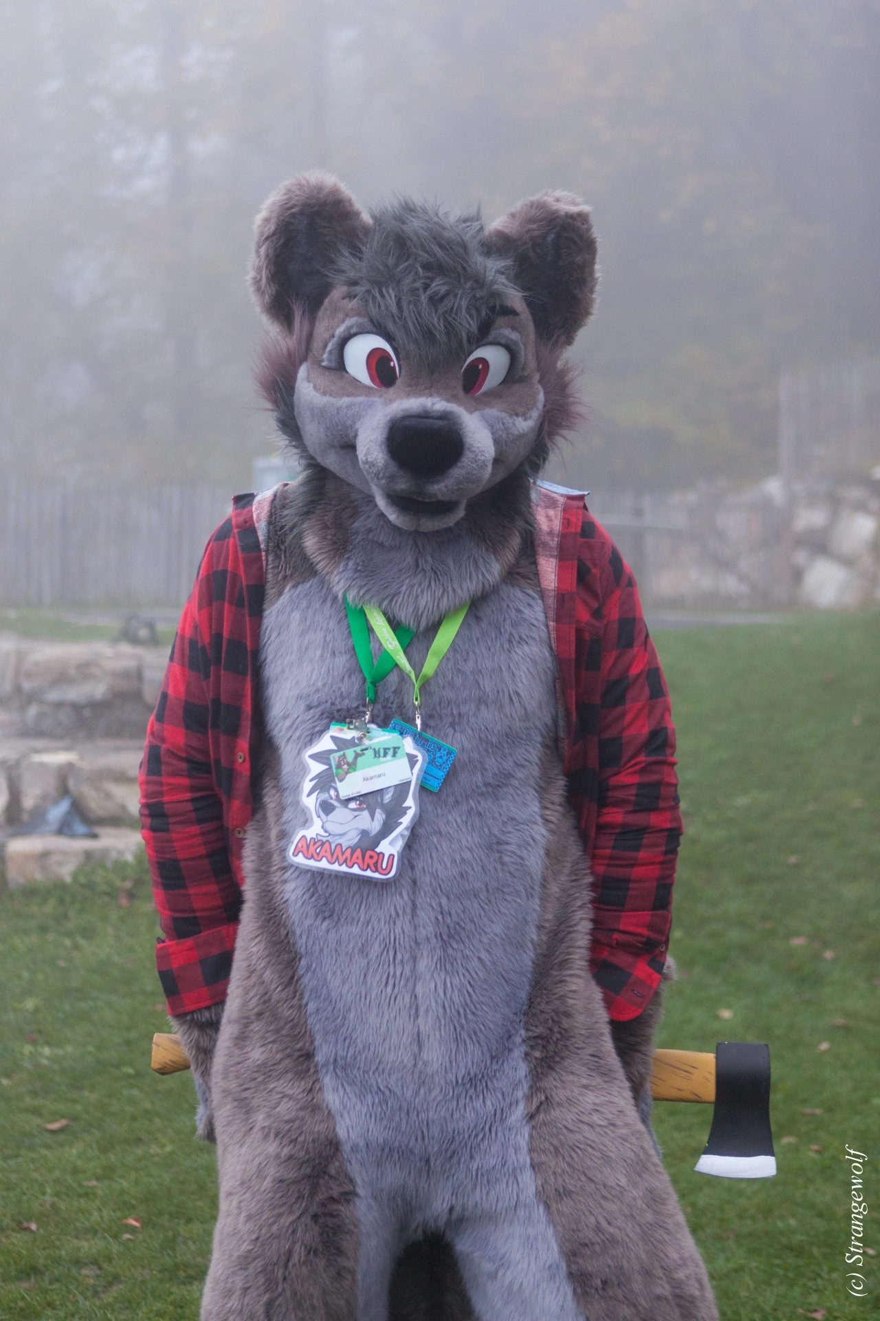 full image IMG_7038-lr19t.jpg