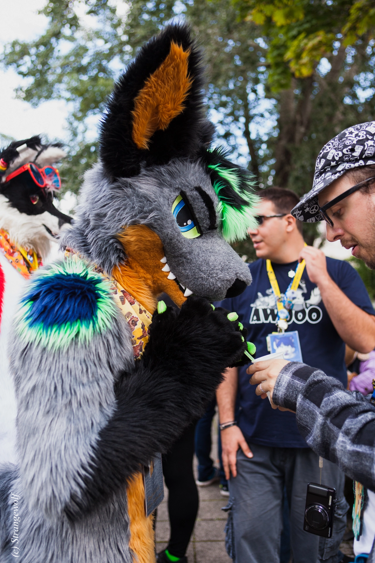 full image IMG_6958-lr19t.jpg