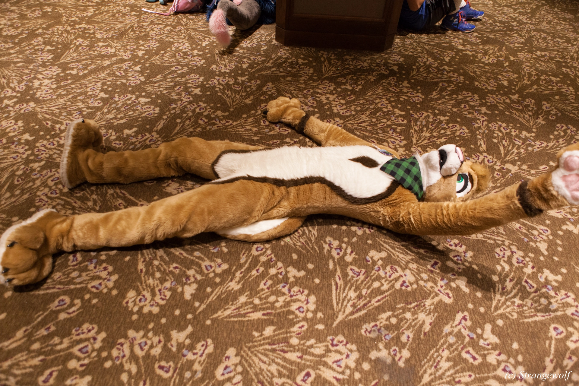 full image IMG_4444-lr19t.jpg