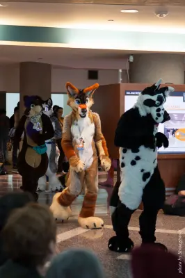 IMG_1060-lr16t.jpg of FC/FC2017/