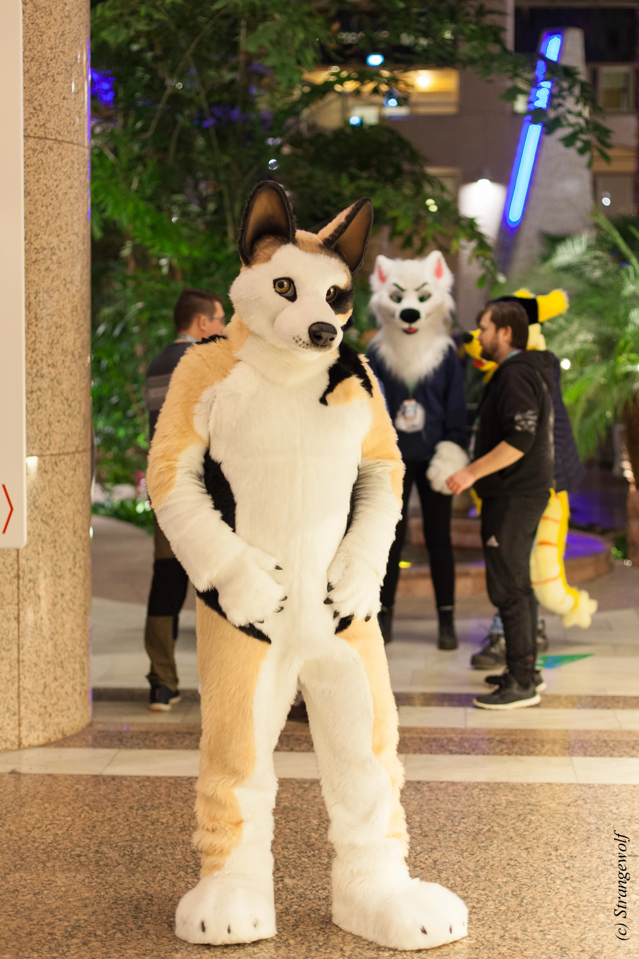 full image IMG_9777-lr19t.jpg