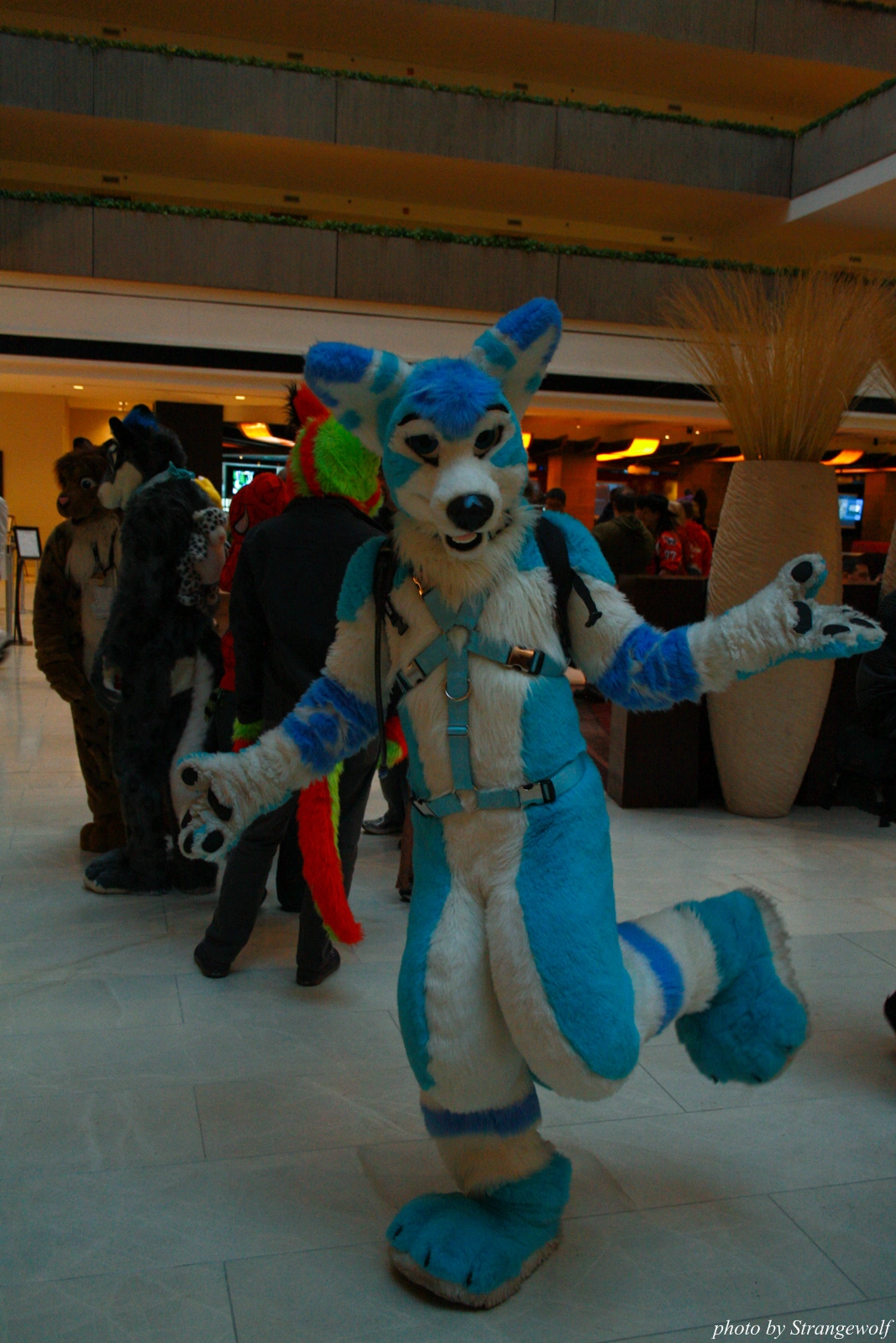 full image IMG_1061-lr.jpg