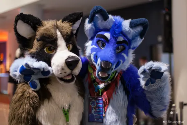 IMG_9158-lr19t.jpg of NFC/NFC2020/