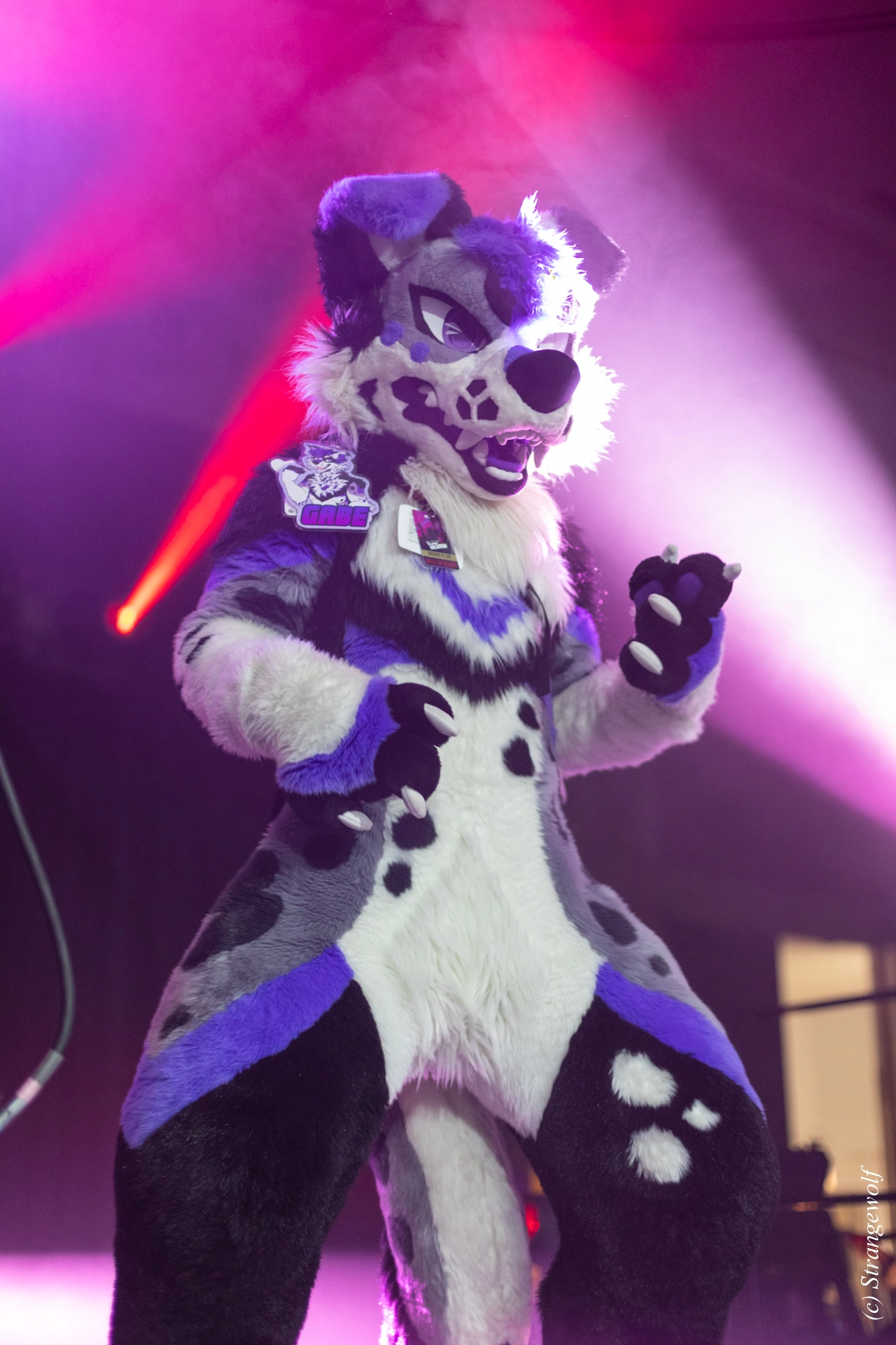 full image 1R3A0736-lr19t.jpg