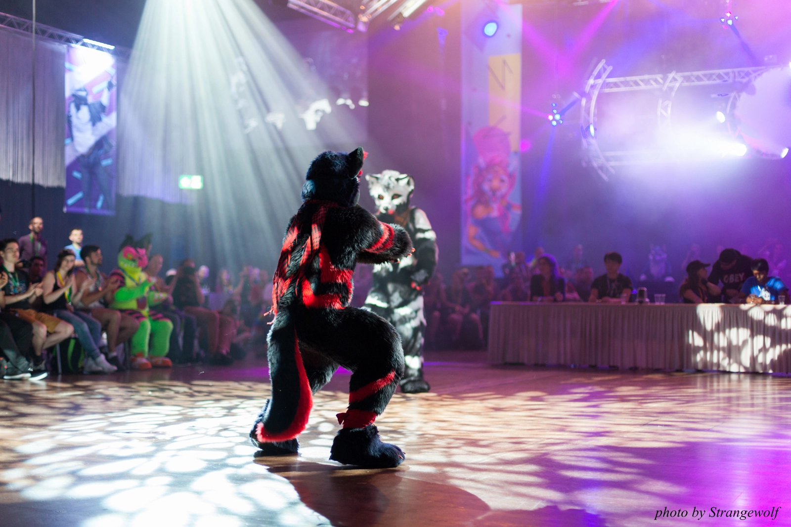 full image IMG_9857-lr16t.jpg