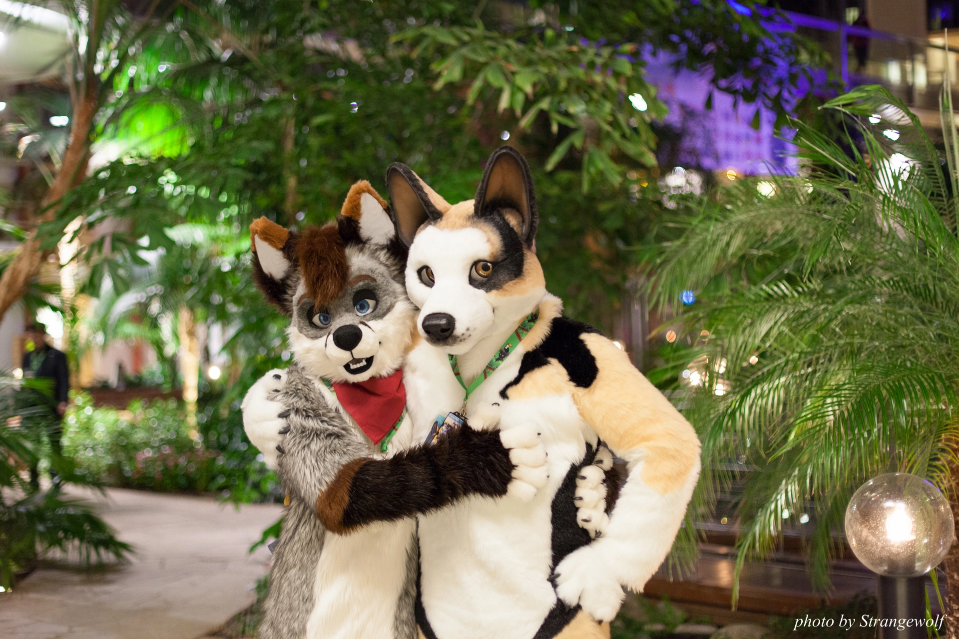 full image IMG_9232-lr19t.jpg