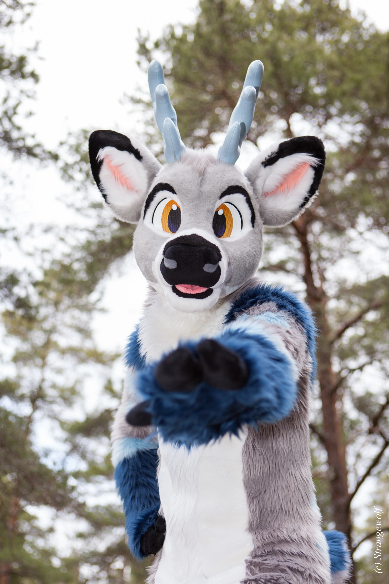 full image IMG_8633-lr19t.jpg