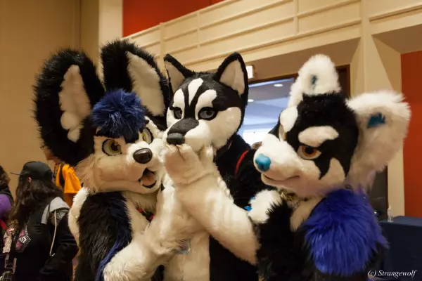 IMG_8378-lr19t.jpg of MFF/MFF2017/