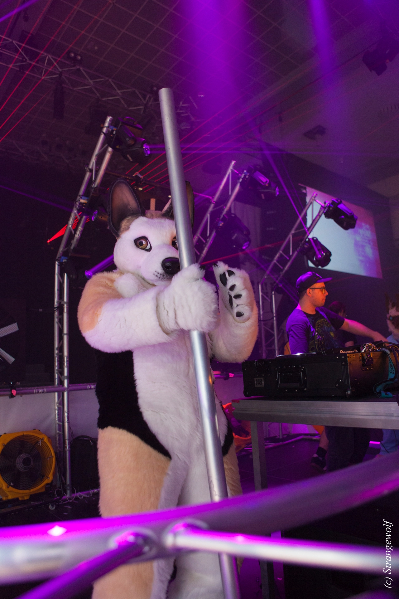 full image IMG_5048-lr19t.jpg