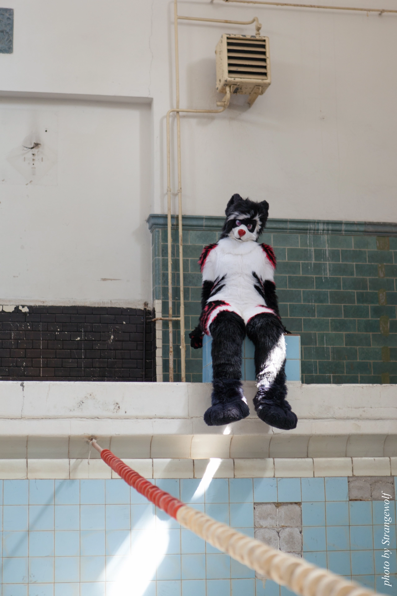 full image IMG_6002-lr19t.jpg