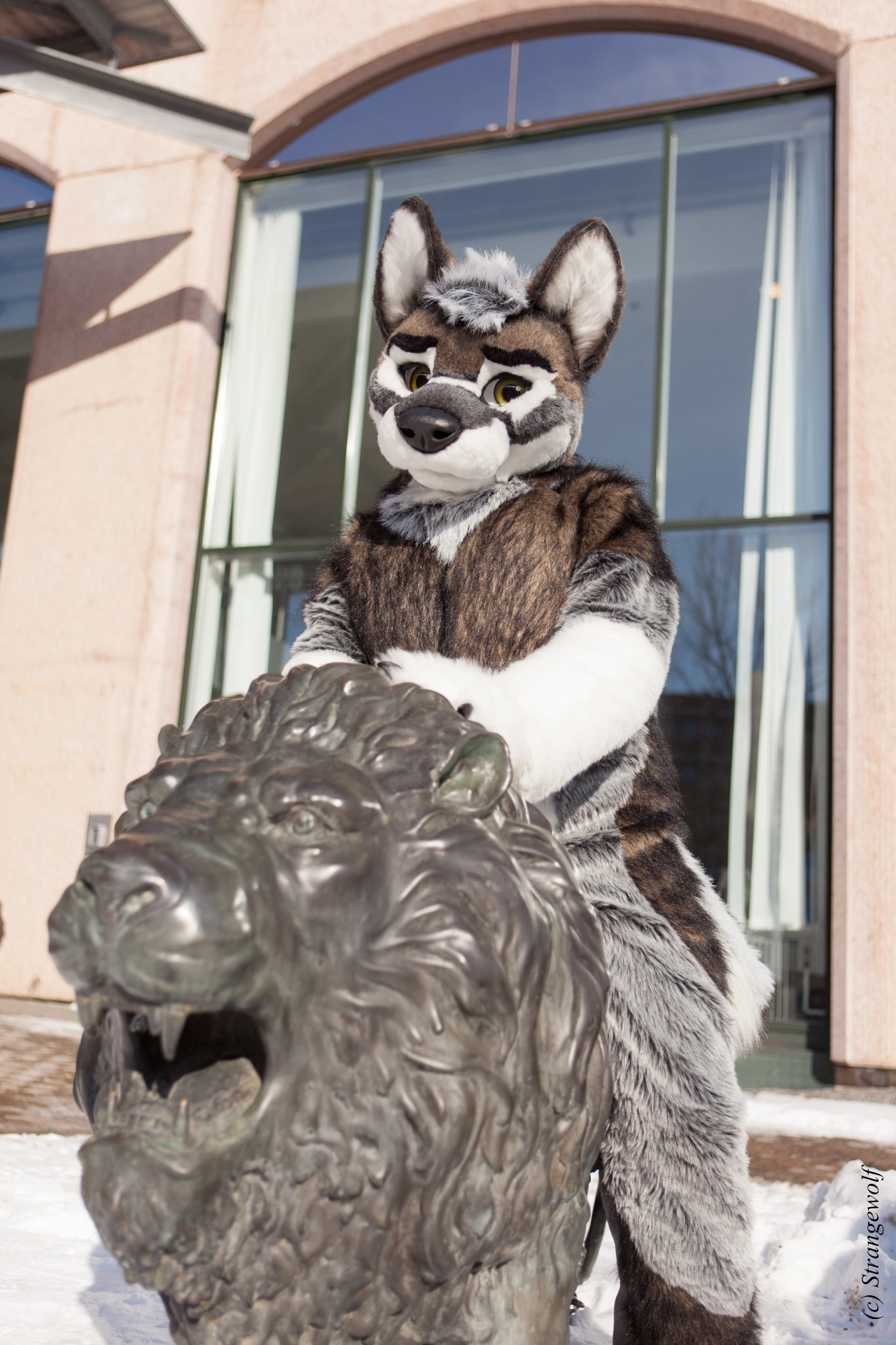 full image IMG_9535-lr19t.jpg