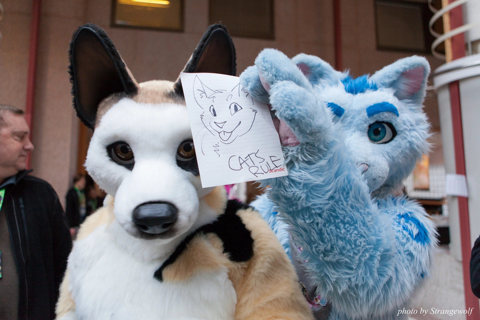 full image IMG_0798-lr19t.jpg