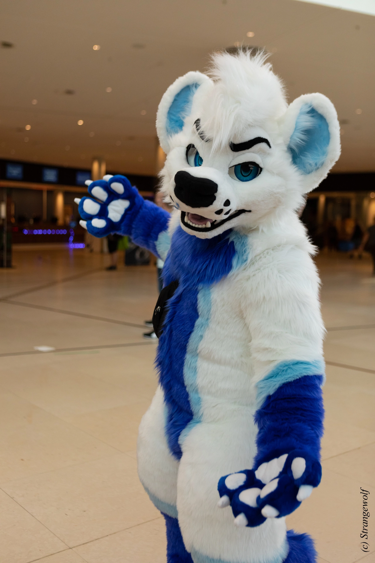 full image 1R3A9055-lr19t.jpg