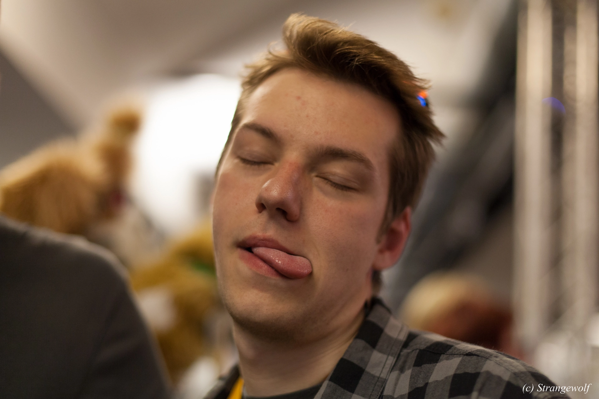 full image IMG_6638-lr19t.jpg