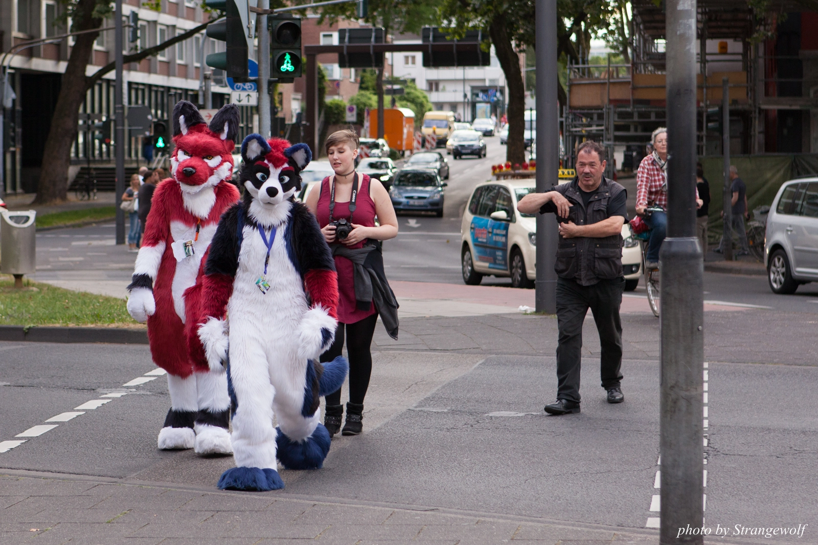 full image IMG_8604-lr16t.jpg