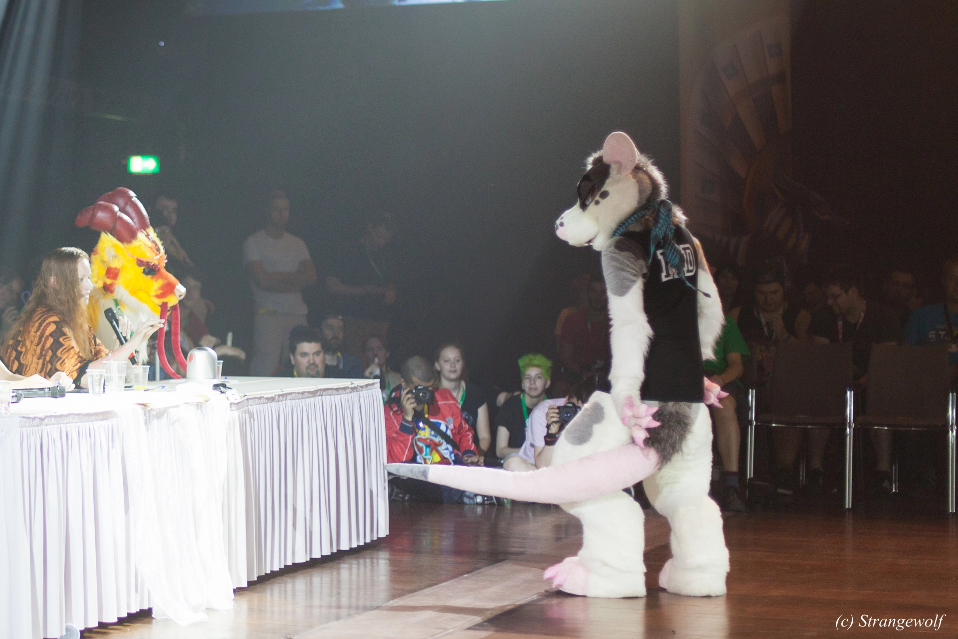 full image IMG_6382-lr19t.jpg