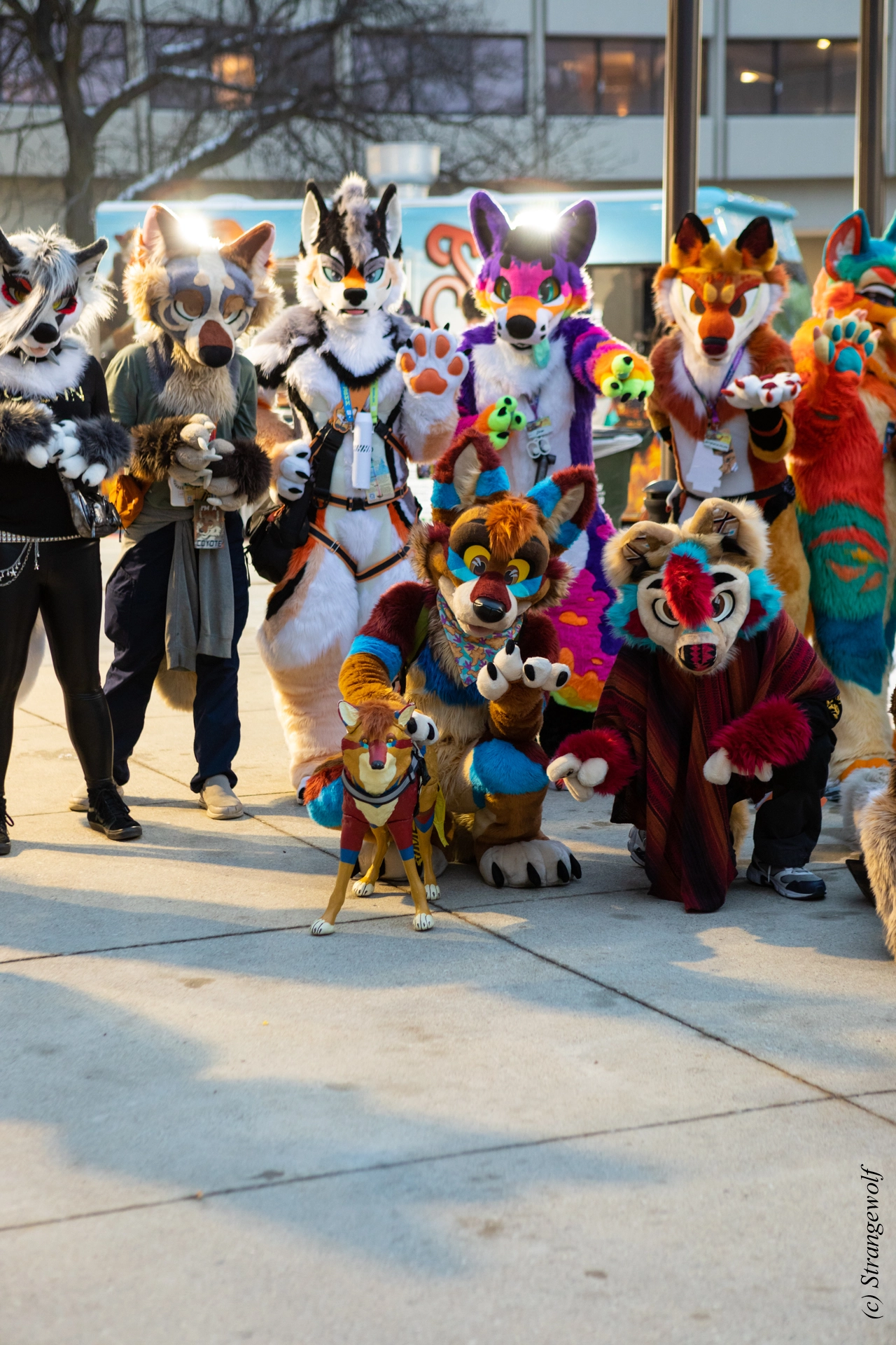 full image 1R3A0268-lr19t.jpg