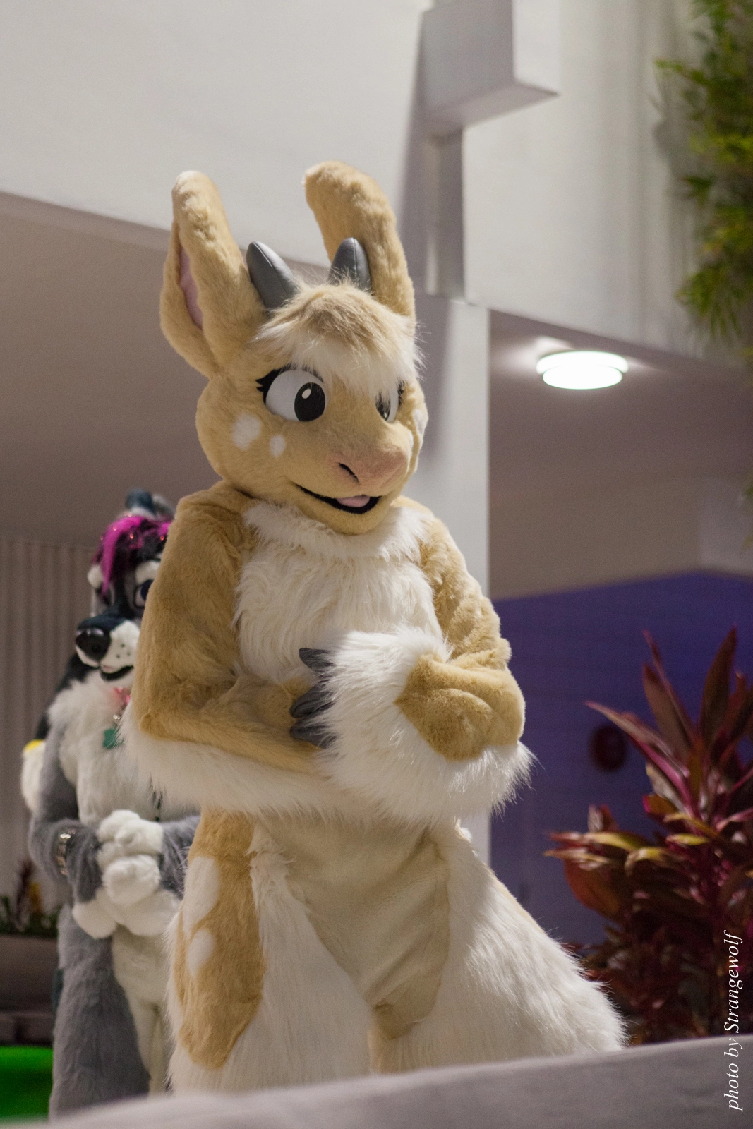 full image IMG_8472-lr16t.jpg