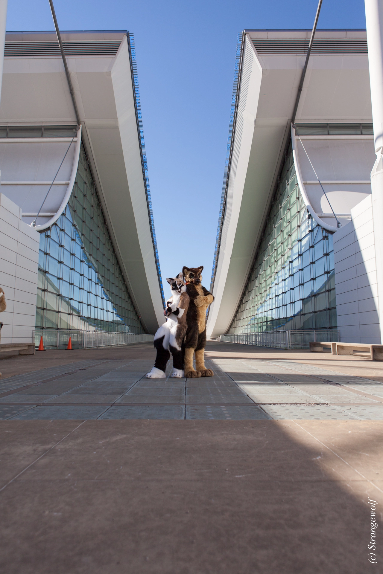 full image IMG_4174-lr19t.jpg