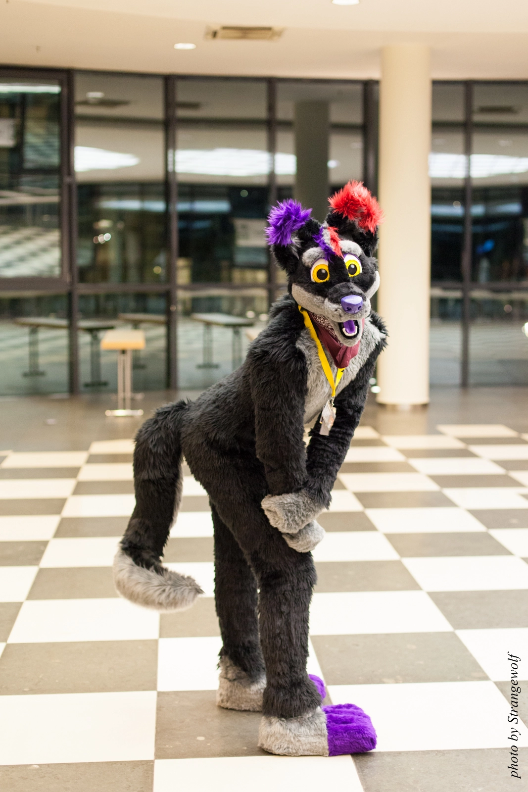 full image IMG_1965-lr16t.jpg
