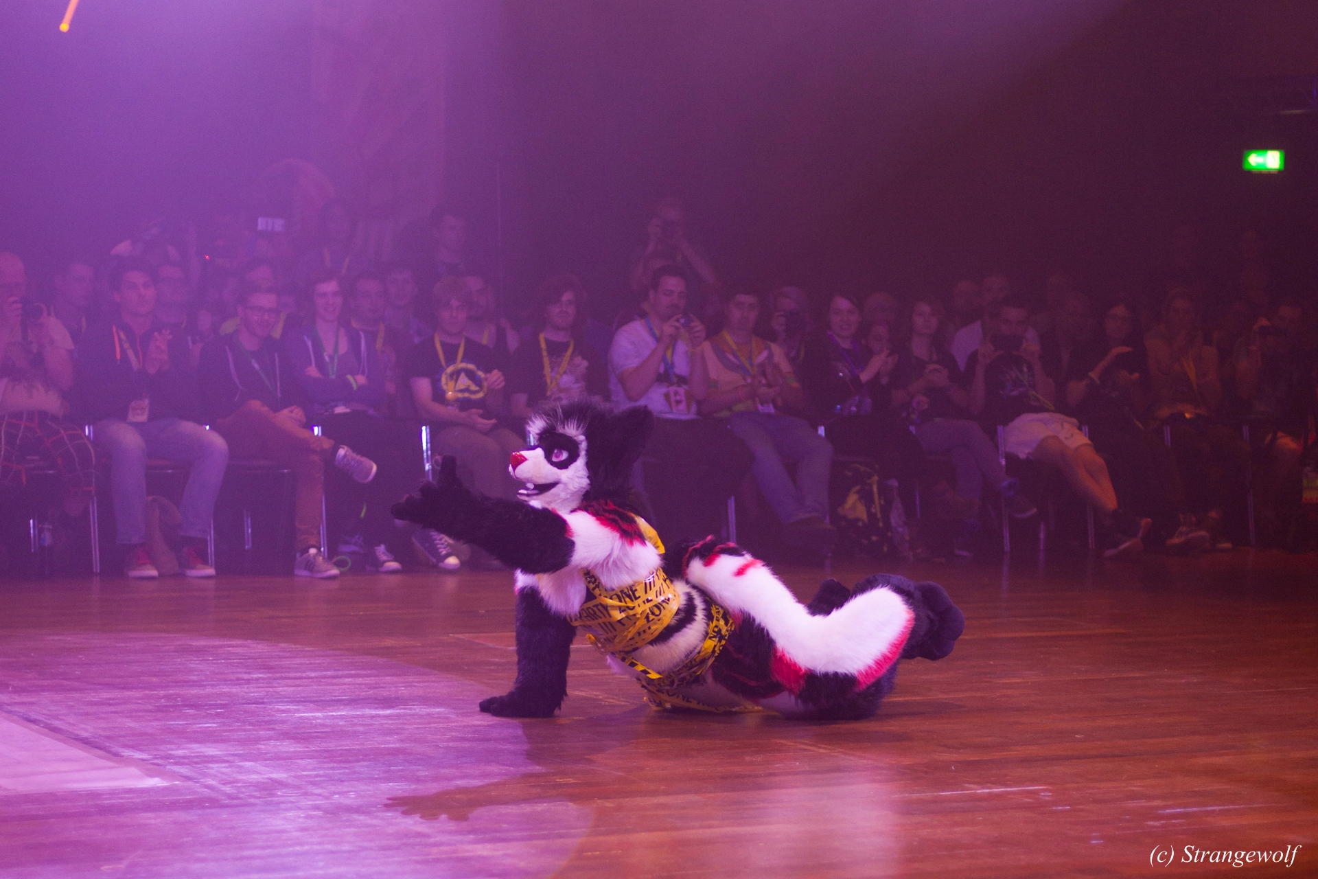 full image IMG_6614-lr19t.jpg