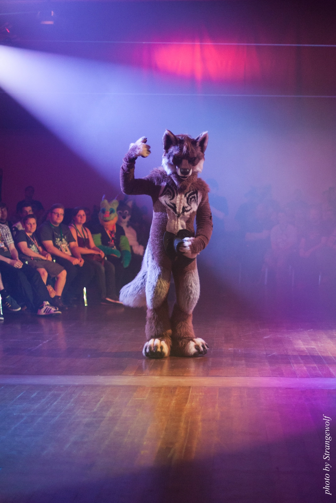 full image IMG_2720-lr16t.jpg