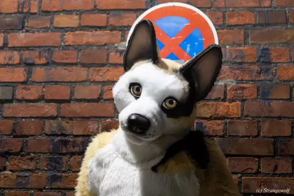 1R3A2641-lr19t.jpg of Furstrike/Furstrike 2022/