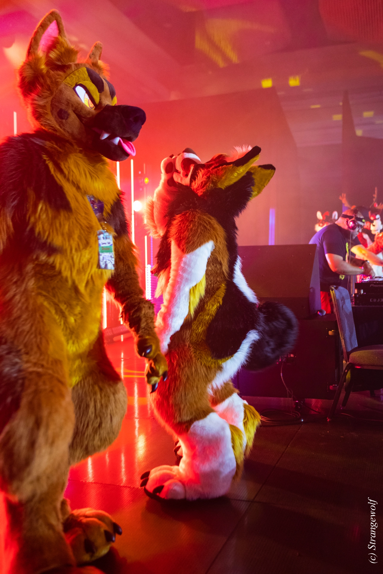 full image 1R3A5235-lr19t.jpg