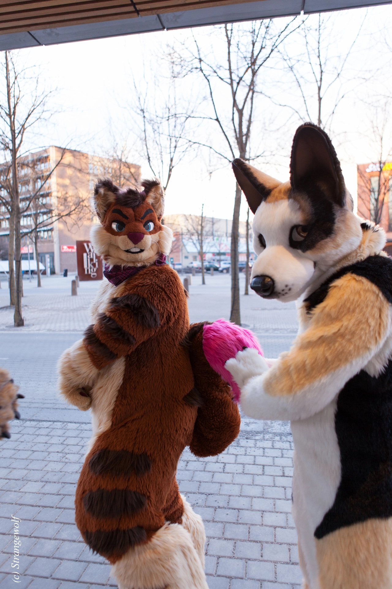 full image IMG_8876-lr19t.jpg