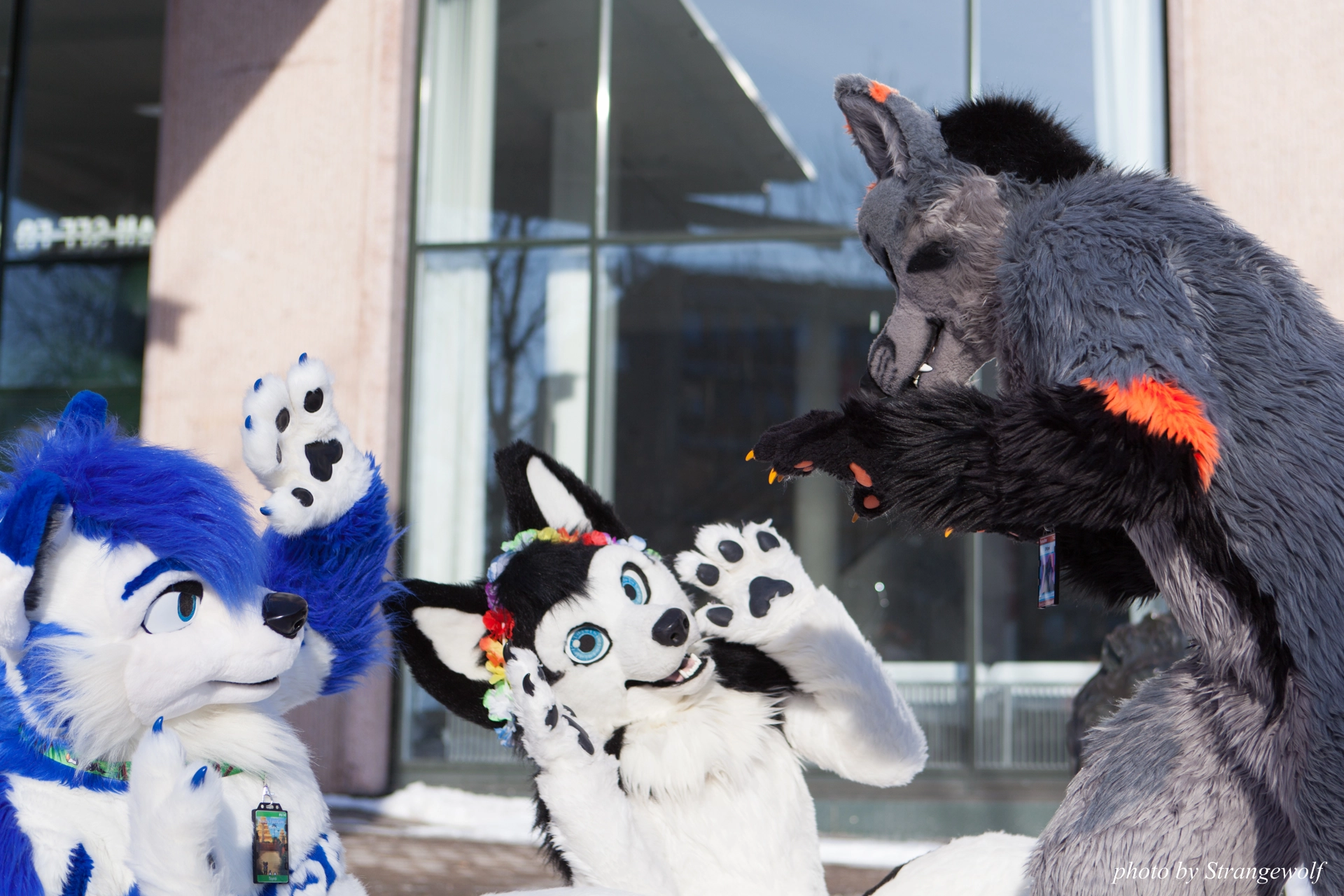 full image IMG_0109-lr19t.jpg