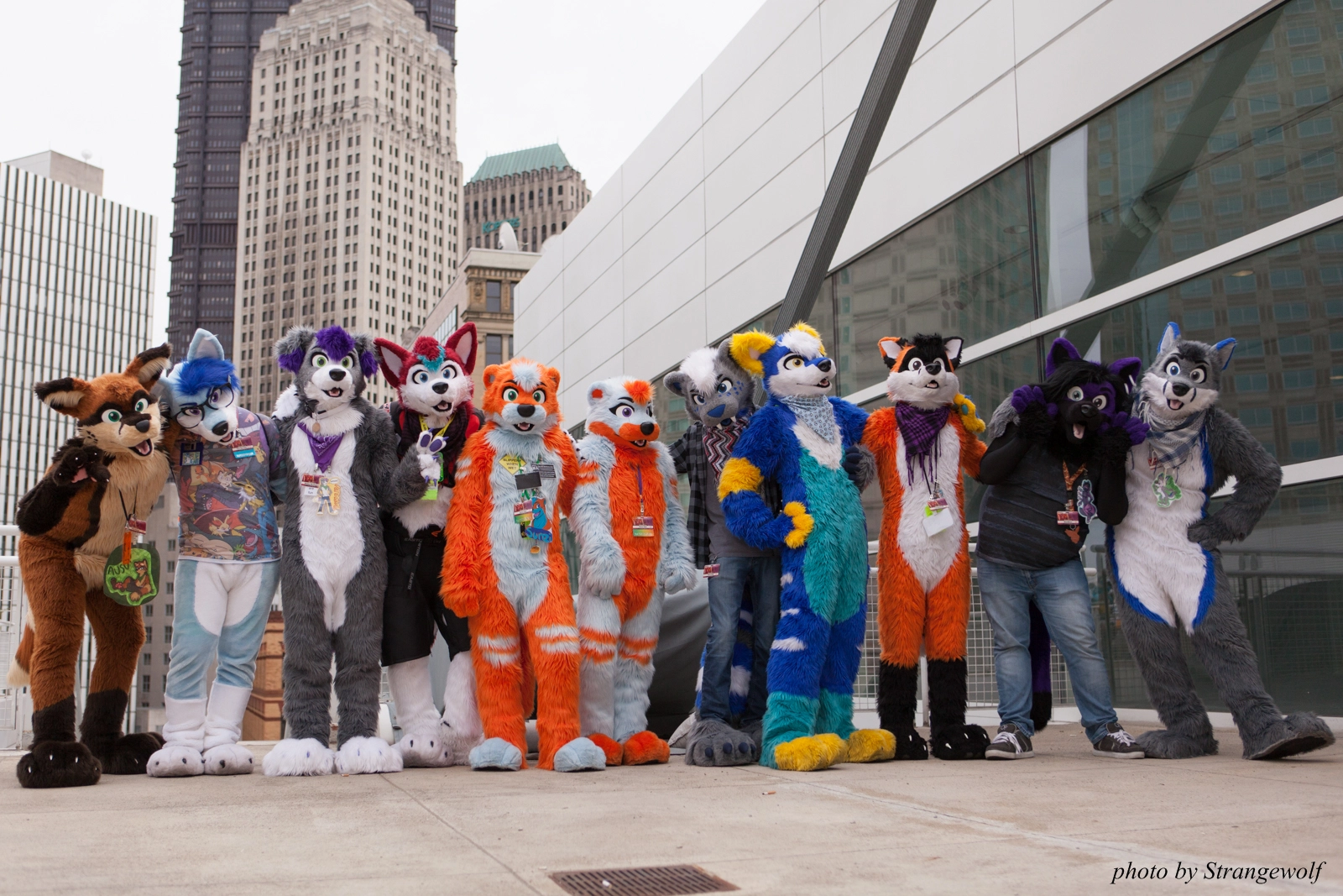 full image IMG_8186-lr16t.jpg