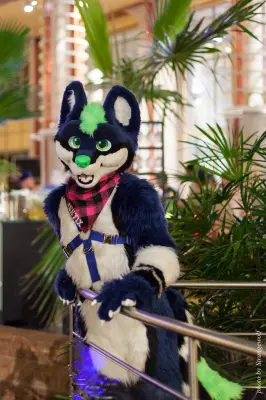 IMG_1860-lr16t.jpg of NFC/NFC2017/